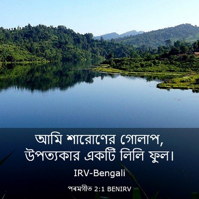 Picture 03 - পৰমগীত 2:1 BENIRV - আমি শারোণের গোলাপ, - Bible Verse Picture