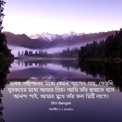 Picture 03 - পৰমগীত 2:3 BENIRV - বনের গাছপালার - Bible Verse Picture