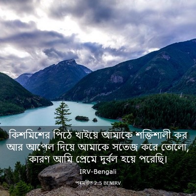 Picture 03 - পৰমগীত 2:5 BENIRV - কিশমিশের পিঠে - Bible Verse Picture