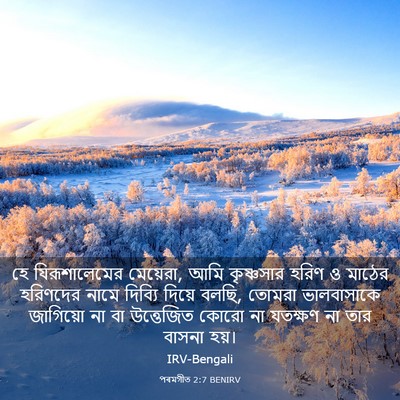 Picture 03 - পৰমগীত 2:7 BENIRV - হে যিরূশালেমের - Bible Verse Picture
