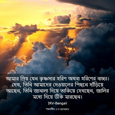 Picture 03 - পৰমগীত 2:9 BENIRV - আমার প্রিয় যেন - Bible Verse Picture