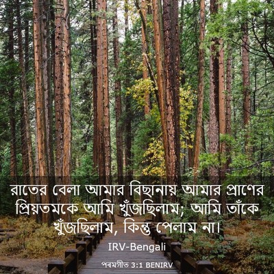 Picture 03 - পৰমগীত 3:1 BENIRV - রাতের বেলা আমার - Bible Verse Picture