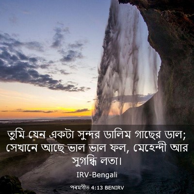 Picture 03 - পৰমগীত 4:13 BENIRV - তুমি যেন একটা - Bible Verse Picture