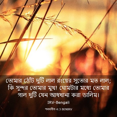 Picture 03 - পৰমগীত 4:3 BENIRV - তোমার ঠোঁট দুটি - Bible Verse Picture