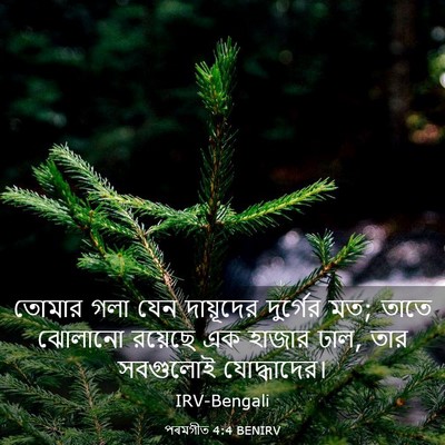 Picture 03 - পৰমগীত 4:4 BENIRV - তোমার গলা যেন - Bible Verse Picture