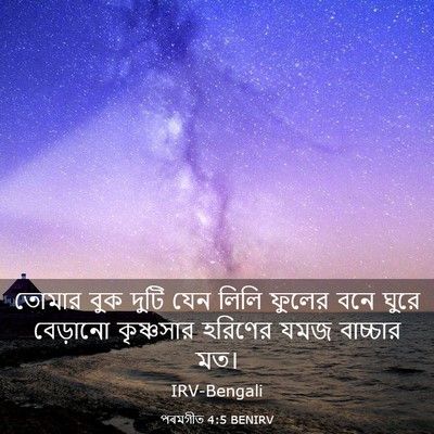 Picture 03 - পৰমগীত 4:5 BENIRV - তোমার বুক দুটি যেন - Bible Verse Picture