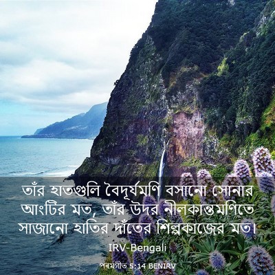 Picture 03 - পৰমগীত 5:14 BENIRV - তাঁর হাতগুলি - Bible Verse Picture