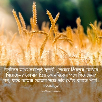 Picture 03 - পৰমগীত 6:1 BENIRV - নারীদের মধ্যে - Bible Verse Picture