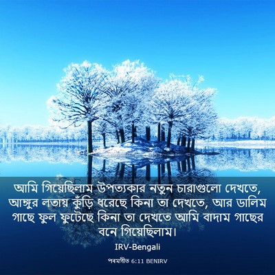 Picture 03 - পৰমগীত 6:11 BENIRV - আমি গিয়েছিলাম - Bible Verse Picture