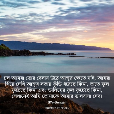Picture 03 - পৰমগীত 7:12 BENIRV - চল আমরা ভোর বেলায় - Bible Verse Picture