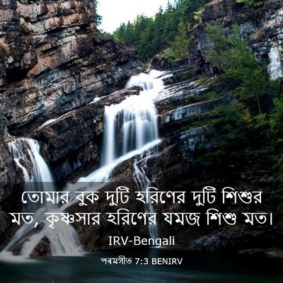 Picture 03 - পৰমগীত 7:3 BENIRV - তোমার বুক দুটি - Bible Verse Picture