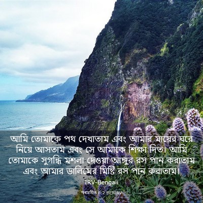 Picture 03 - পৰমগীত 8:2 BENIRV - আমি তোমাকে পথ - Bible Verse Picture