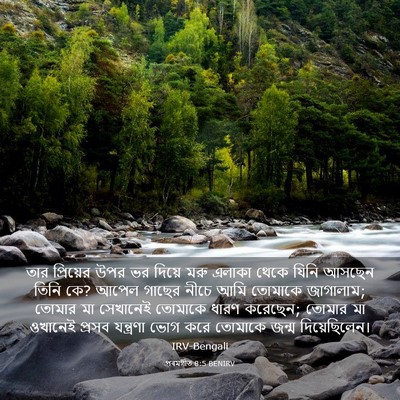 Picture 03 - পৰমগীত 8:5 BENIRV - তার প্রিয়ের উপর - Bible Verse Picture