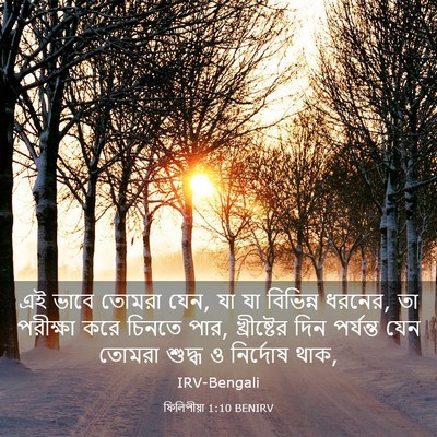 Picture 03 - ফিলিপীয়া 1:10 BENIRV - এই ভাবে তোমরা যেন, - Bible Verse Picture