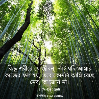 Picture 03 - ফিলিপীয়া 1:22 BENIRV - কিন্তু শরীরে যে - Bible Verse Picture