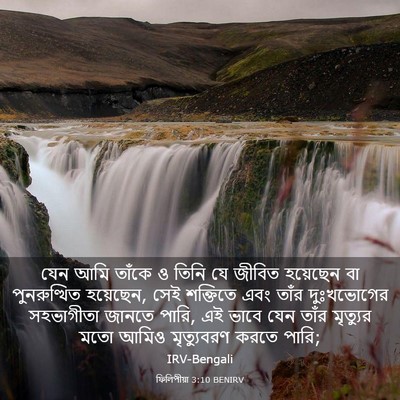 Picture 03 - ফিলিপীয়া 3:10 BENIRV - যেন আমি তাঁকে ও - Bible Verse Picture