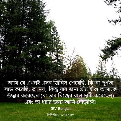 Picture 03 - ফিলিপীয়া 3:12 BENIRV - আমি যে এখনই এসব - Bible Verse Picture