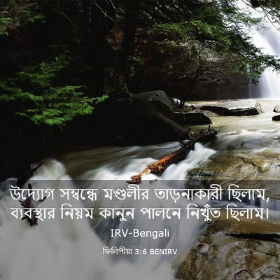Picture 03 - ফিলিপীয়া 3:6 BENIRV - উদ্যোগ সম্বন্ধে - Bible Verse Picture