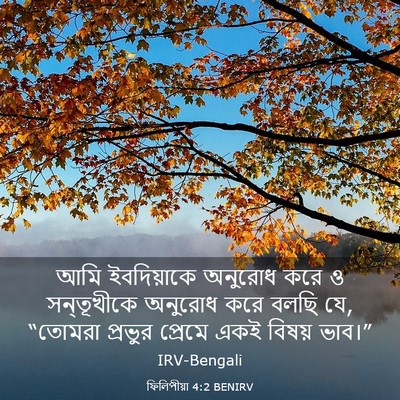 Picture 03 - ফিলিপীয়া 4:2 BENIRV - আমি ইবদিয়াকে - Bible Verse Picture