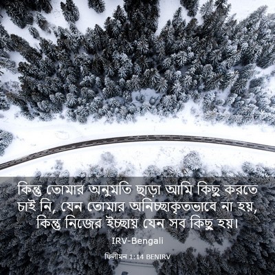 Picture 03 - ফিলীমন 1:14 BENIRV - কিন্তু তোমার - Bible Verse Picture