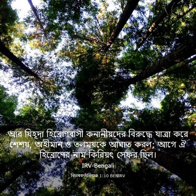 Picture 03 - বিচাৰকর্তাবিলাক 1:10 BENIRV - আর যিহূদা - Bible Verse Picture