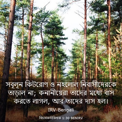 Picture 03 - বিচাৰকর্তাবিলাক 1:30 BENIRV - সবূলূন কিটরোণ ও - Bible Verse Picture