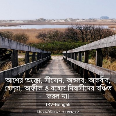 Picture 03 - বিচাৰকর্তাবিলাক 1:31 BENIRV - আশের অক্কো, সীদোন, - Bible Verse Picture