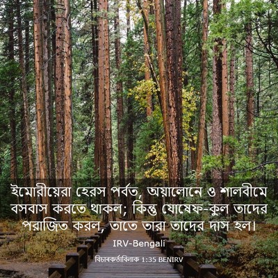 Picture 03 - বিচাৰকর্তাবিলাক 1:35 BENIRV - ইমোরীয়েরা হেরস - Bible Verse Picture