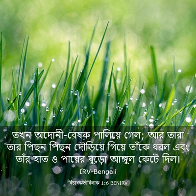 Picture 03 - বিচাৰকর্তাবিলাক 1:6 BENIRV - তখন অদোনী-বেষক - Bible Verse Picture
