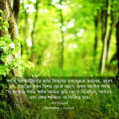 Picture 03 - বিচাৰকর্তাবিলাক 11:13 BENIRV - তাতে অম্মোনীয়দের - Bible Verse Picture