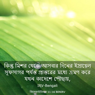 Picture 03 - বিচাৰকর্তাবিলাক 11:16 BENIRV - কিন্তু মিশর থেকে - Bible Verse Picture