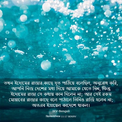Picture 03 - বিচাৰকর্তাবিলাক 11:17 BENIRV - তখন ইদোমের রাজার - Bible Verse Picture