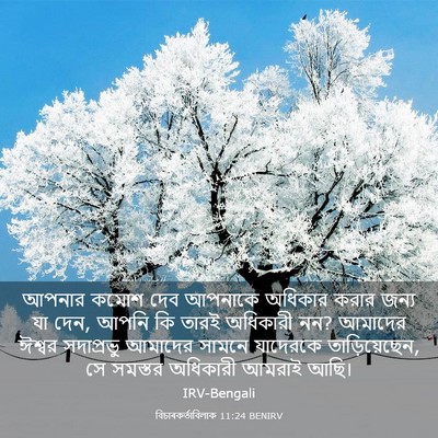 Picture 03 - বিচাৰকর্তাবিলাক 11:24 BENIRV - আপনার কমোশ দেব - Bible Verse Picture