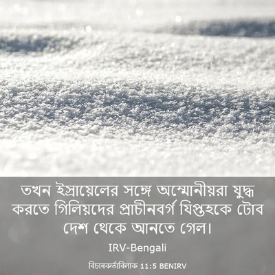 Picture 03 - বিচাৰকর্তাবিলাক 11:5 BENIRV - তখন ইস্রায়েলের - Bible Verse Picture