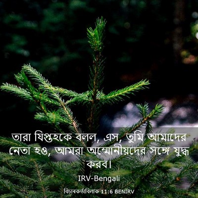 Picture 03 - বিচাৰকর্তাবিলাক 11:6 BENIRV - তারা যিপ্তহকে বলল, - Bible Verse Picture