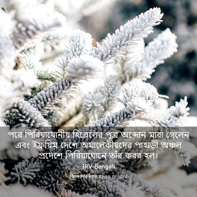 Picture 03 - বিচাৰকর্তাবিলাক 12:15 BENIRV - পরে পিরিয়াথোনীয় - Bible Verse Picture