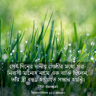 Picture 03 - বিচাৰকর্তাবিলাক 13:2 BENIRV - সেই দিনের দানীয় - Bible Verse Picture