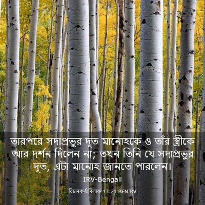 Picture 03 - বিচাৰকর্তাবিলাক 13:21 BENIRV - তারপরে সদাপ্রভুর - Bible Verse Picture
