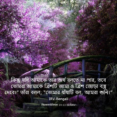 Picture 03 - বিচাৰকর্তাবিলাক 14:13 BENIRV - কিন্তু যদি আমাকে - Bible Verse Picture