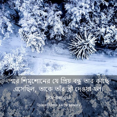 Picture 03 - বিচাৰকর্তাবিলাক 14:20 BENIRV - পরে শিম্‌শোনের যে - Bible Verse Picture