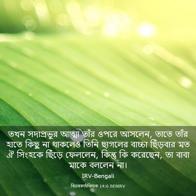 Picture 03 - বিচাৰকর্তাবিলাক 14:6 BENIRV - তখন সদাপ্রভুর - Bible Verse Picture