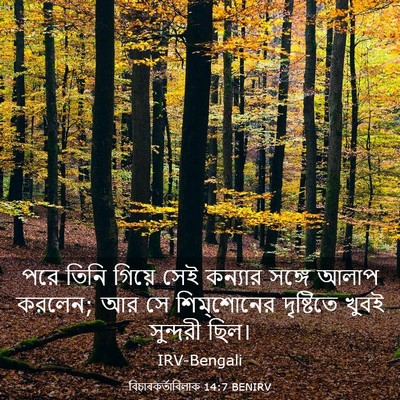 Picture 03 - বিচাৰকর্তাবিলাক 14:7 BENIRV - পরে তিনি গিয়ে সেই - Bible Verse Picture