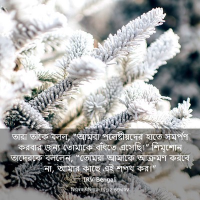 Picture 03 - বিচাৰকর্তাবিলাক 15:12 BENIRV - তারা তাঁকে বলল, - Bible Verse Picture