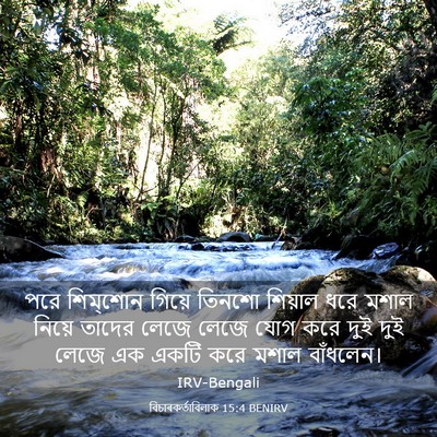Picture 03 - বিচাৰকর্তাবিলাক 15:4 BENIRV - পরে শিম্‌শোন - Bible Verse Picture
