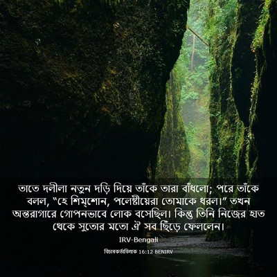 Picture 03 - বিচাৰকর্তাবিলাক 16:12 BENIRV - তাতে দলীলা নতুন - Bible Verse Picture