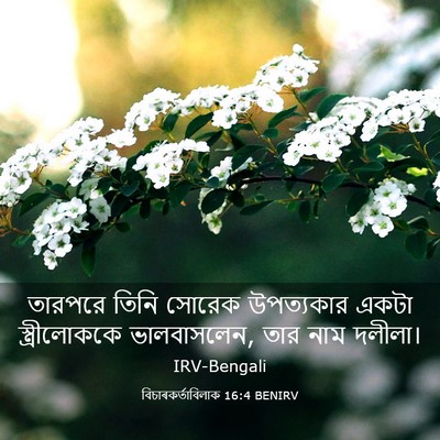 Picture 03 - বিচাৰকর্তাবিলাক 16:4 BENIRV - তারপরে তিনি সোরেক - Bible Verse Picture