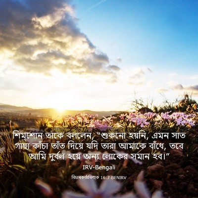 Picture 03 - বিচাৰকর্তাবিলাক 16:7 BENIRV - শিম্‌শোন তাকে - Bible Verse Picture