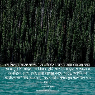 Picture 03 - বিচাৰকর্তাবিলাক 17:2 BENIRV - সে নিজের মাকে বলল, - Bible Verse Picture