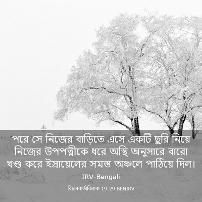 Picture 03 - বিচাৰকর্তাবিলাক 19:29 BENIRV - পরে সে নিজের - Bible Verse Picture
