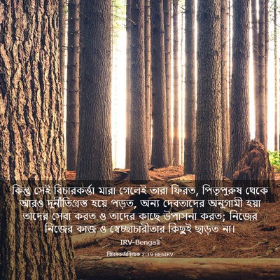 Picture 03 - বিচাৰকর্তাবিলাক 2:19 BENIRV - কিন্তু সেই - Bible Verse Picture